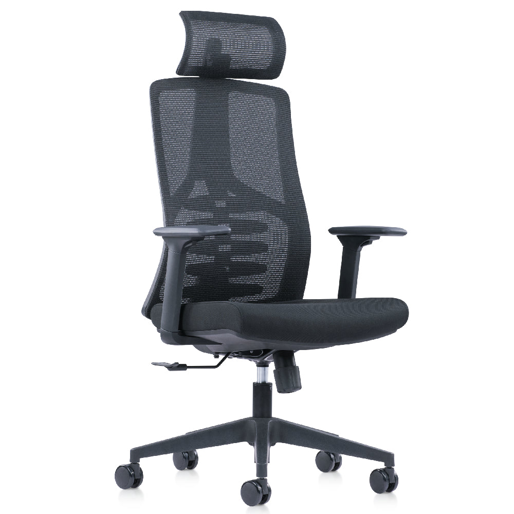 Ergo Everybody Ergonomic Chair with Headrest1