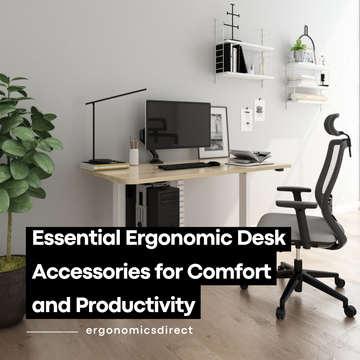 Essential Ergonomic Desk Accessories for Comfort and Productivity