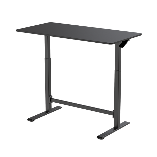 FlexiSpot H7 Gas Spring Height Adjustable Desk