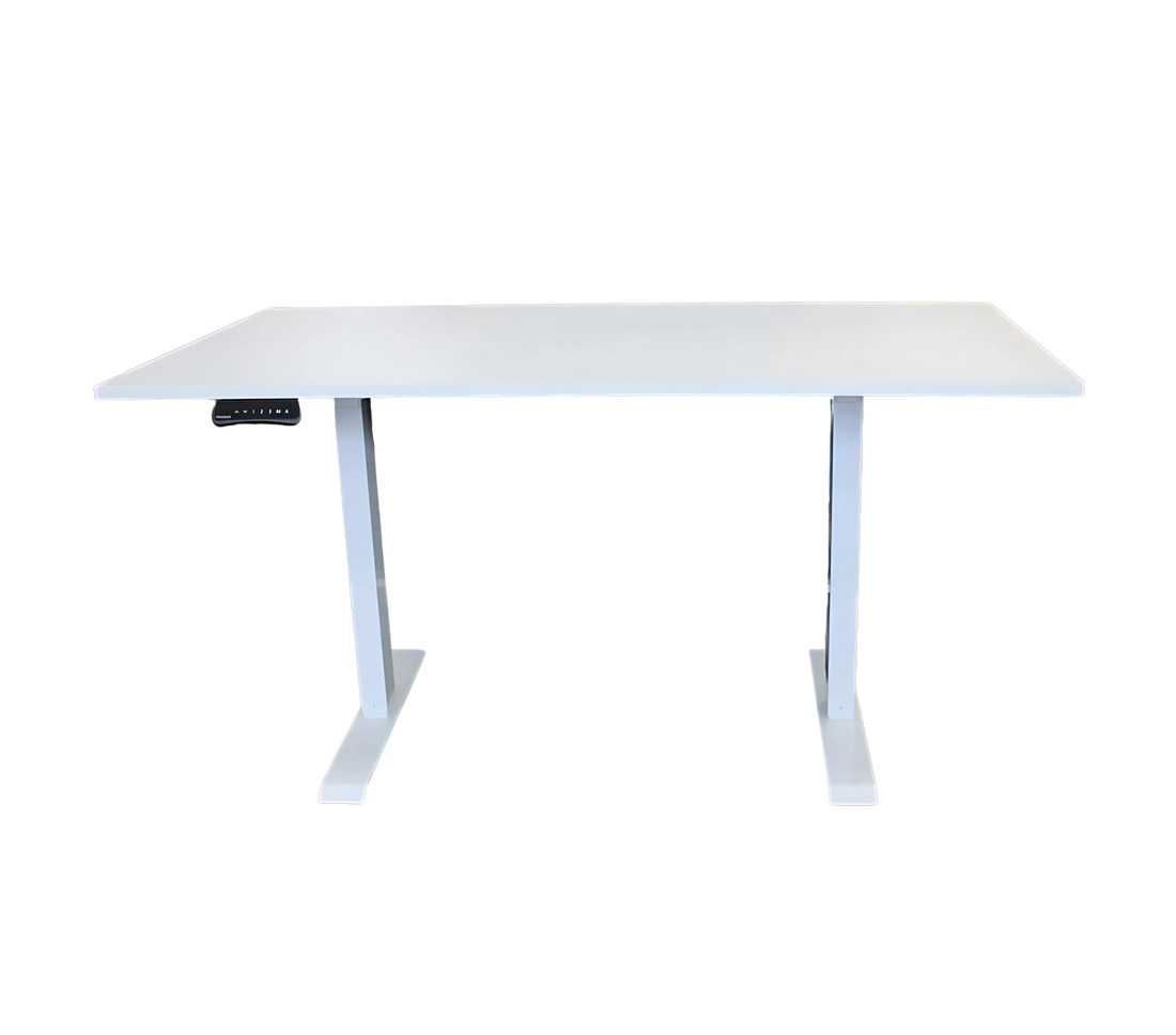 FlexiSpot E2-Pro-V2 Ergo Office One Standing Desk Frame Combo