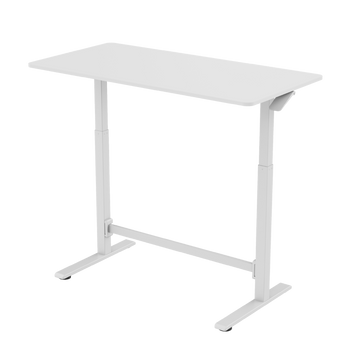 FlexiSpot H7 Gas Spring Height Adjustable Desk