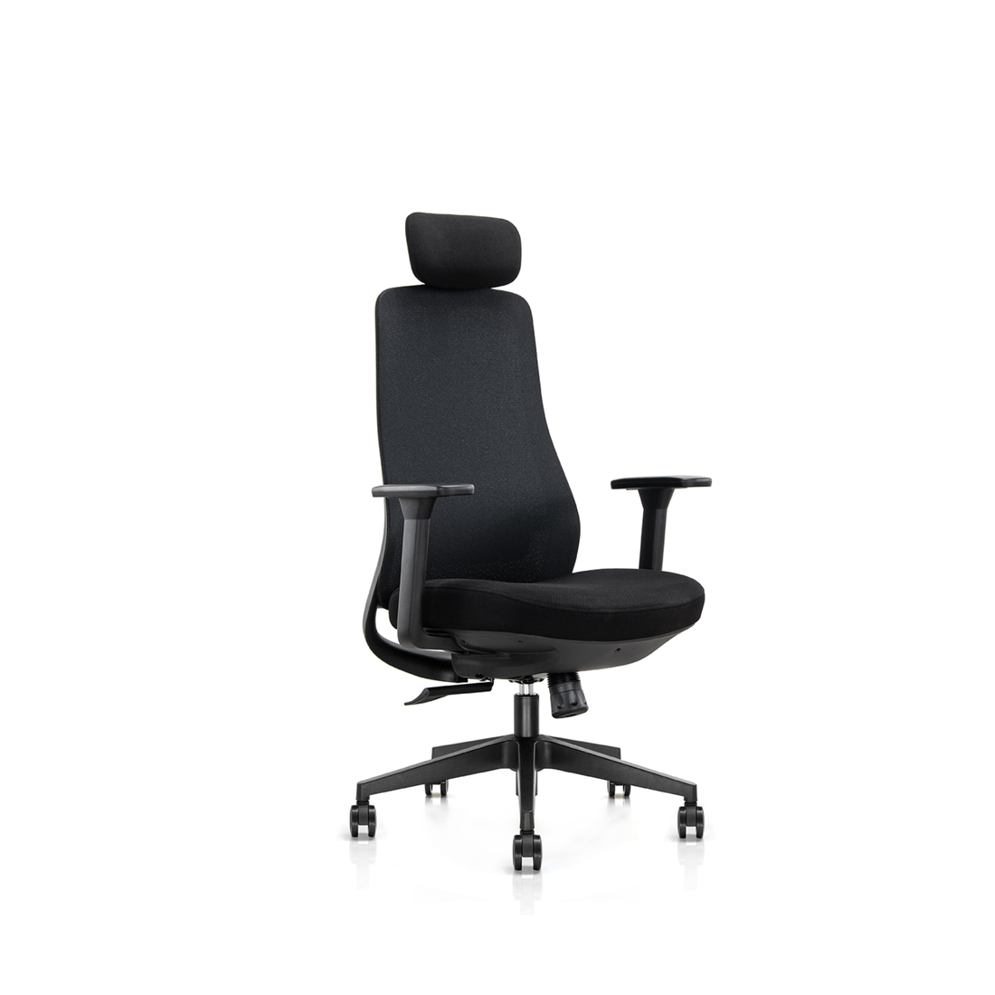 Ergo Contour Ergonomic Chair