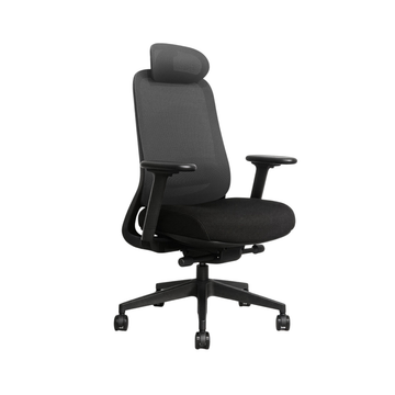 Ergo Flex Ergonomic chair