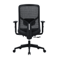 Ergo Essential without headrest (2)