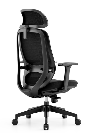 Ergo Active Ergonomic chair - Black