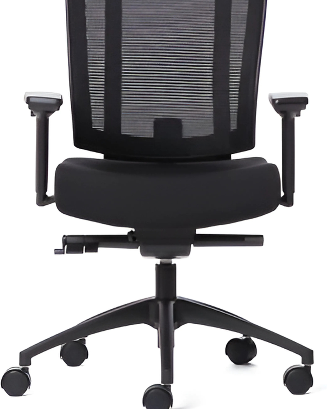 NetOne (Mid and High back)